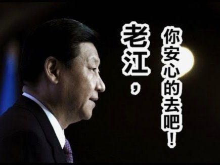 罗比·尼尔森任深圳新鹏城主帅