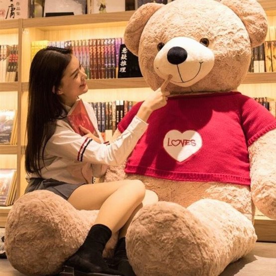 哈兰德世界杯：浣熊玩偶的温馨归来