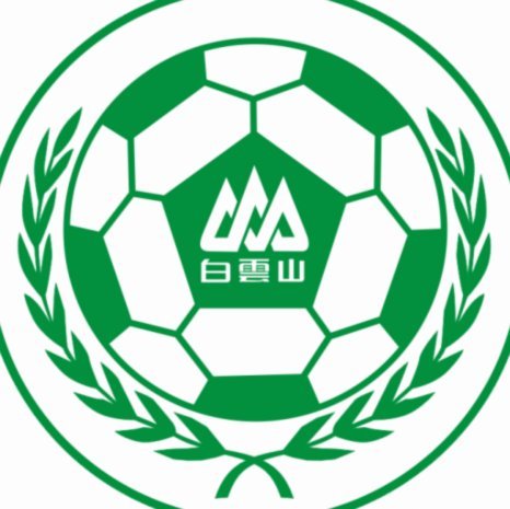绿发投资五年注资山东泰山足球俱乐部深度解析