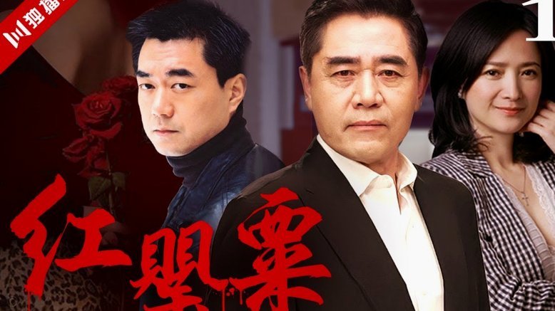 董路破圈：66岁阿姨的“追星”感动了全网